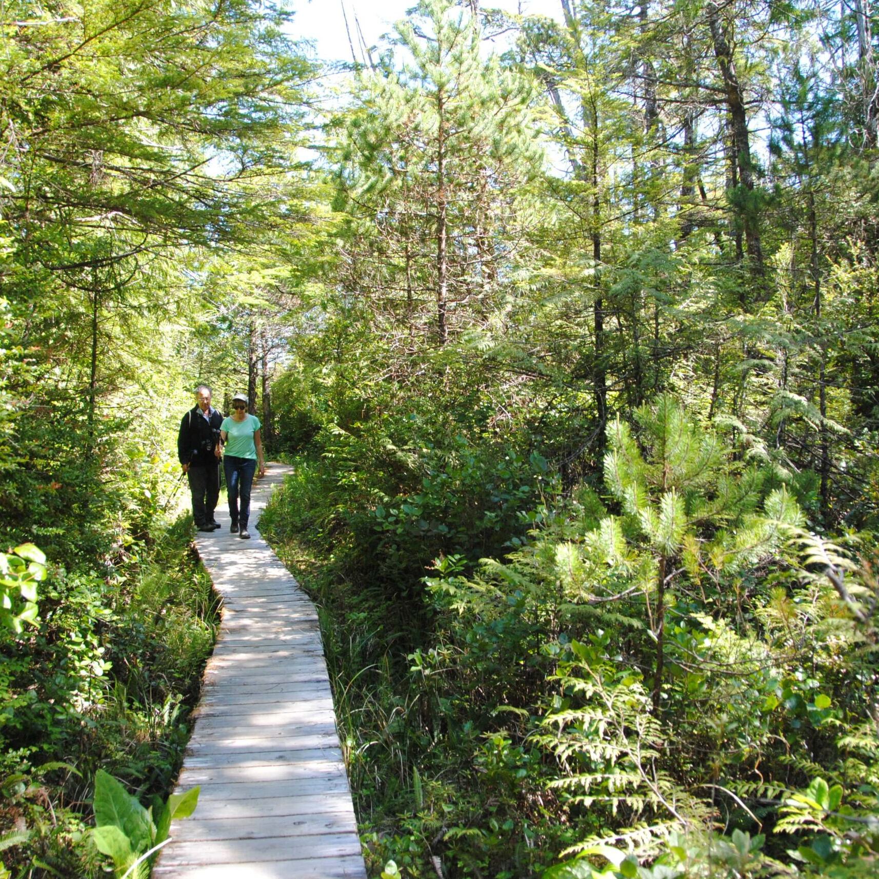 hiking the Pacific Rim Trail, Tofino hiking tours